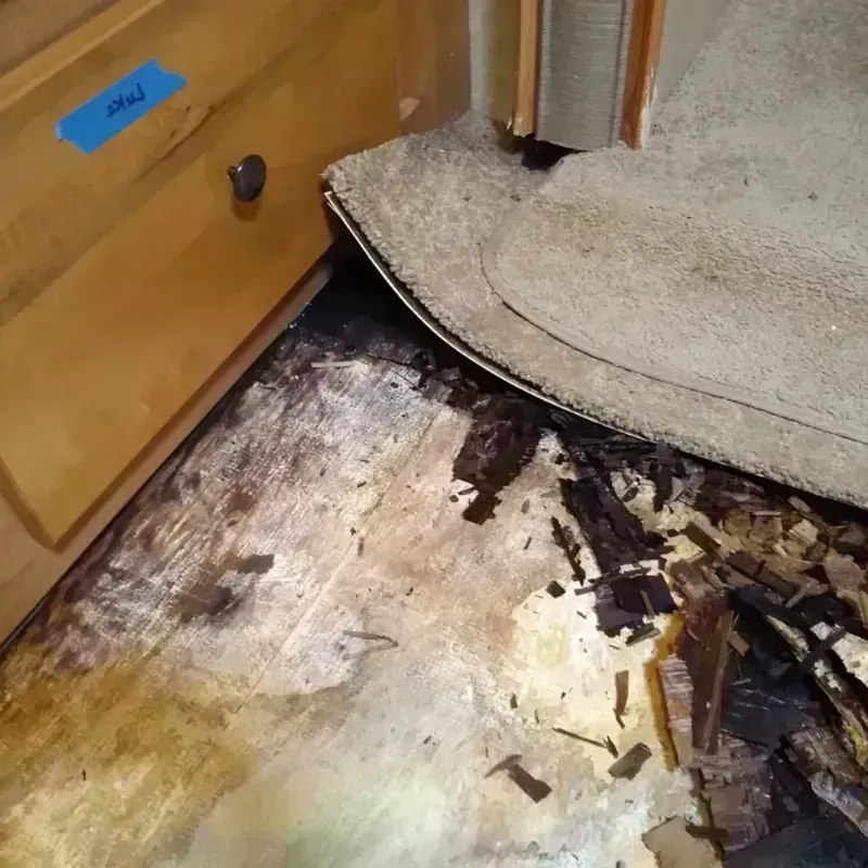 Wood Floor Water Damage in Clinton, IL